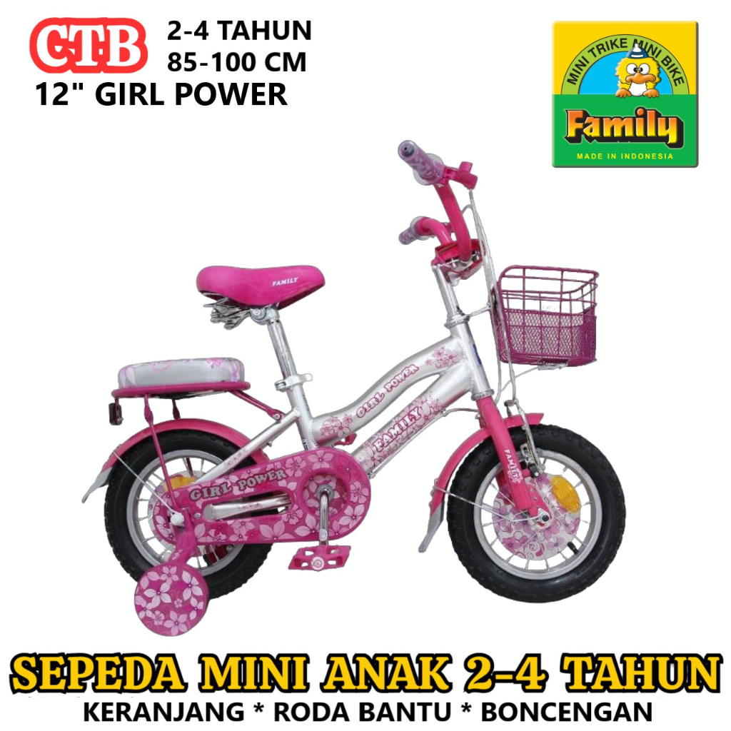 12in Family Girl Power CTB 2-4 Tahun Low-Step Frame City Bike Sepeda Anak Perempuan