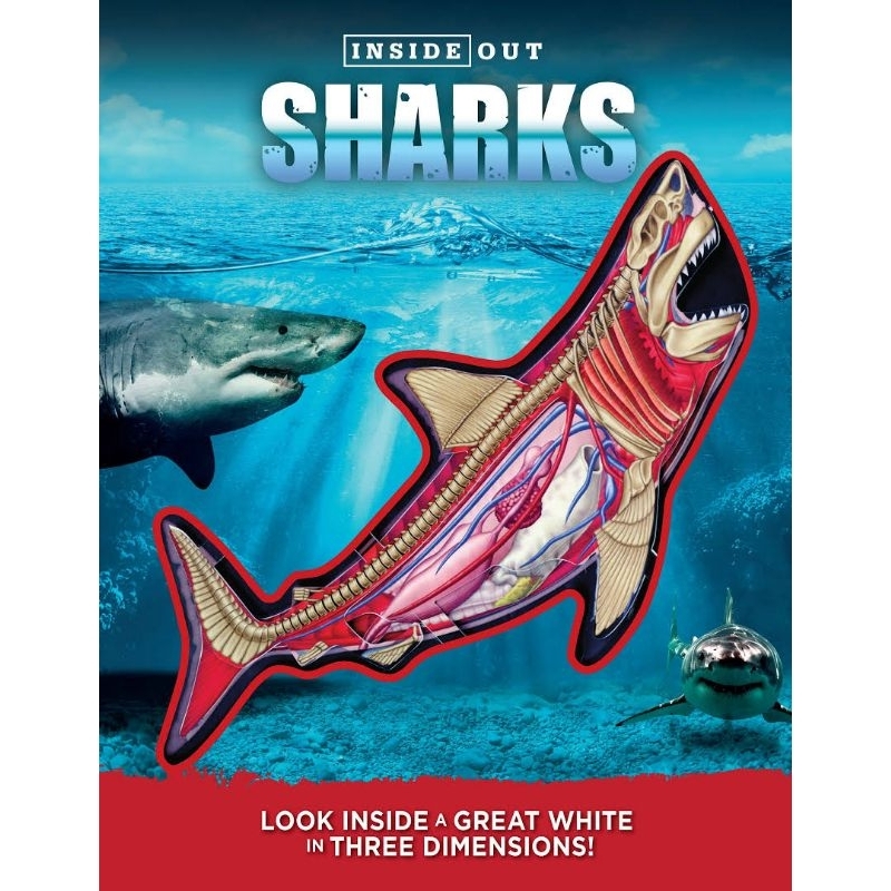 Buku Anak BBW SALE Inside Out Sharks / in 3D book