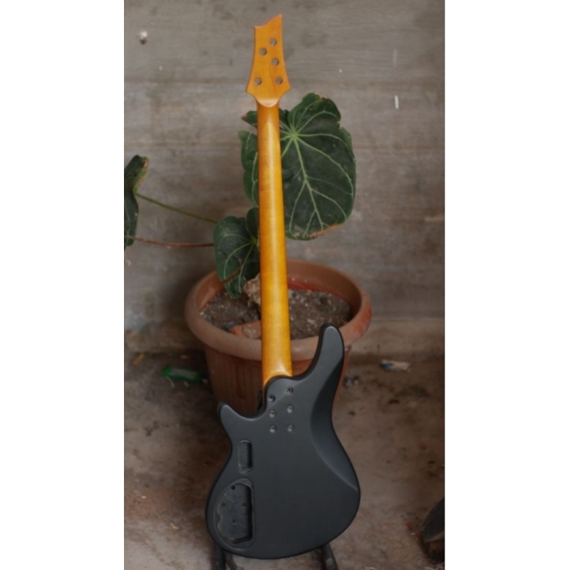 BASS Schecter Diamond Series 5 Strings BODY NECK ONLY.