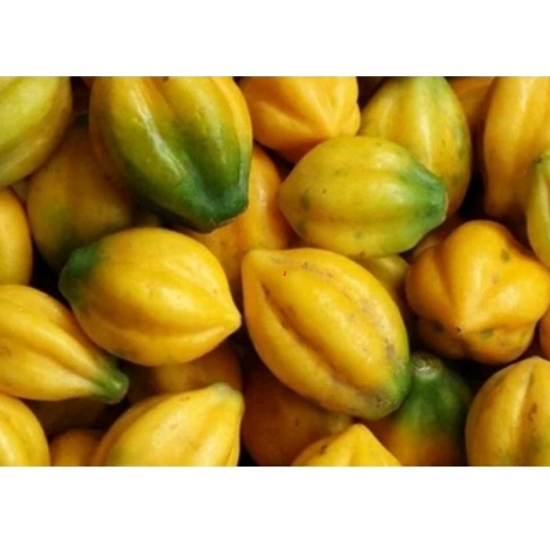 

carica