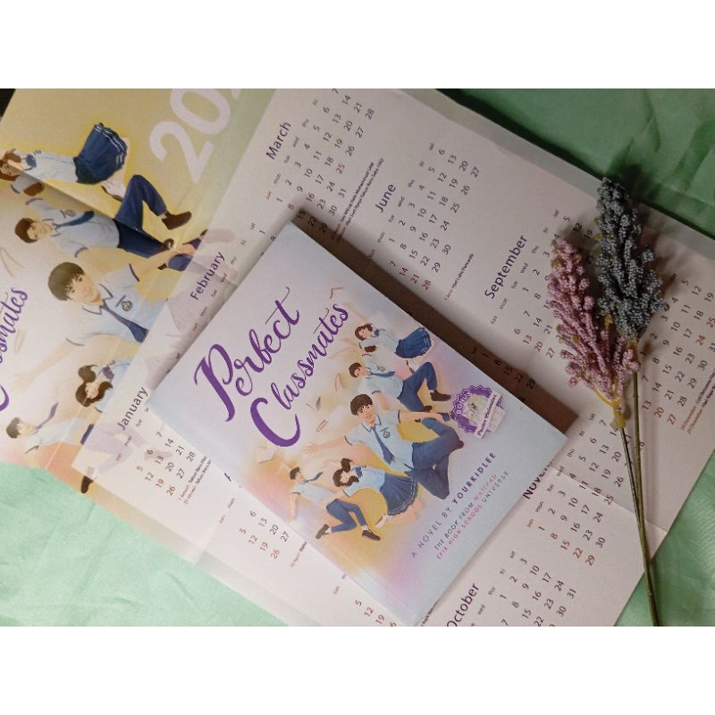 preloved novel perfect classmates