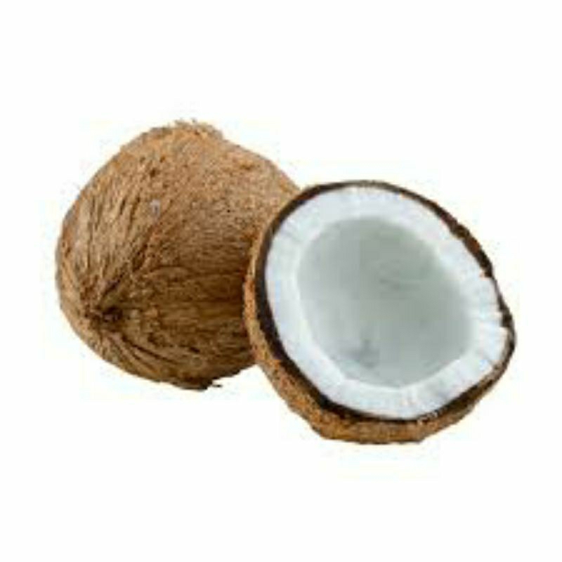 

Kelapa