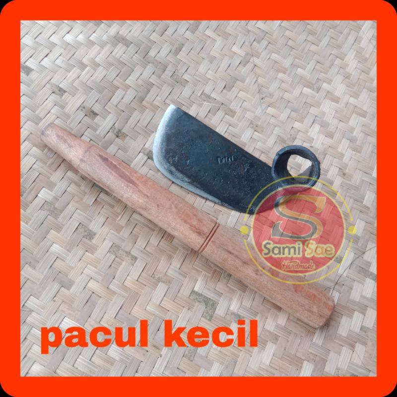 •SSH• Pacul kecil ULI pancong kored baja perr cikalong Banjarsari rumput halaman rumah termurah