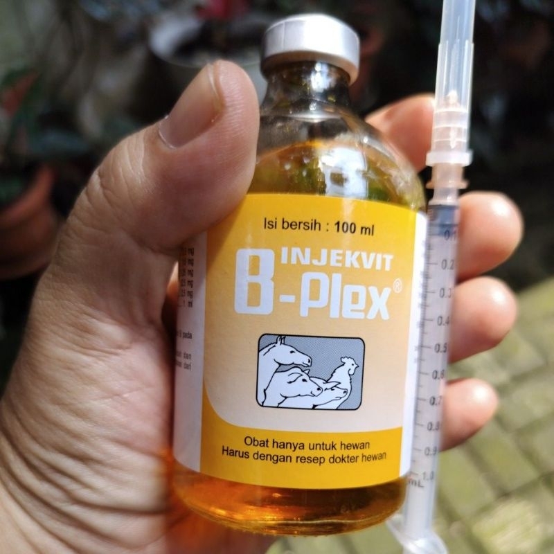 Medion Vitamin Suntik Hewan B Komplek Injeksi 20 / 100 ml Hewan Ayam Kuda Sapi Kambing