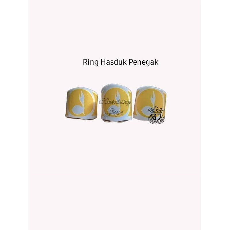RING HASDUK PRAMUKA PENEGAK