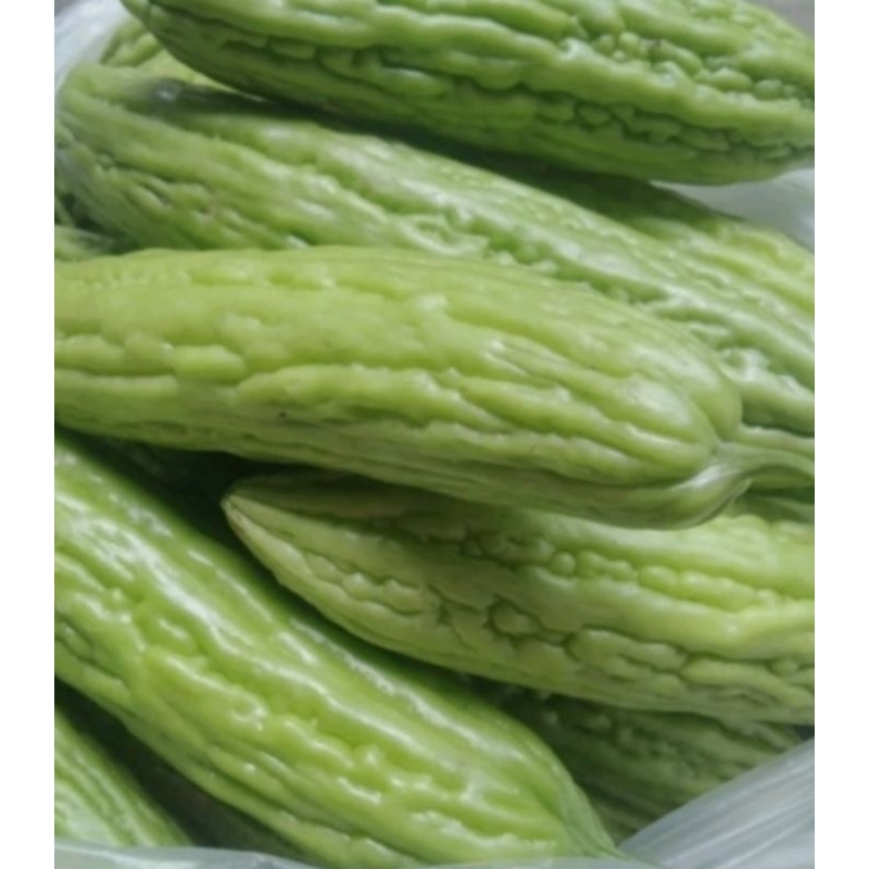

Sayur Pare segar