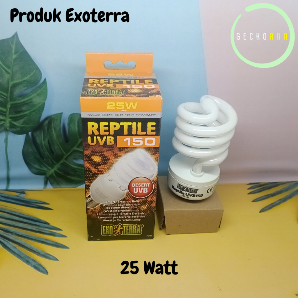 Lampu Exoterra UVB 150 25 Watt Gurun Reptile Torto Sulcata Kura Kadal