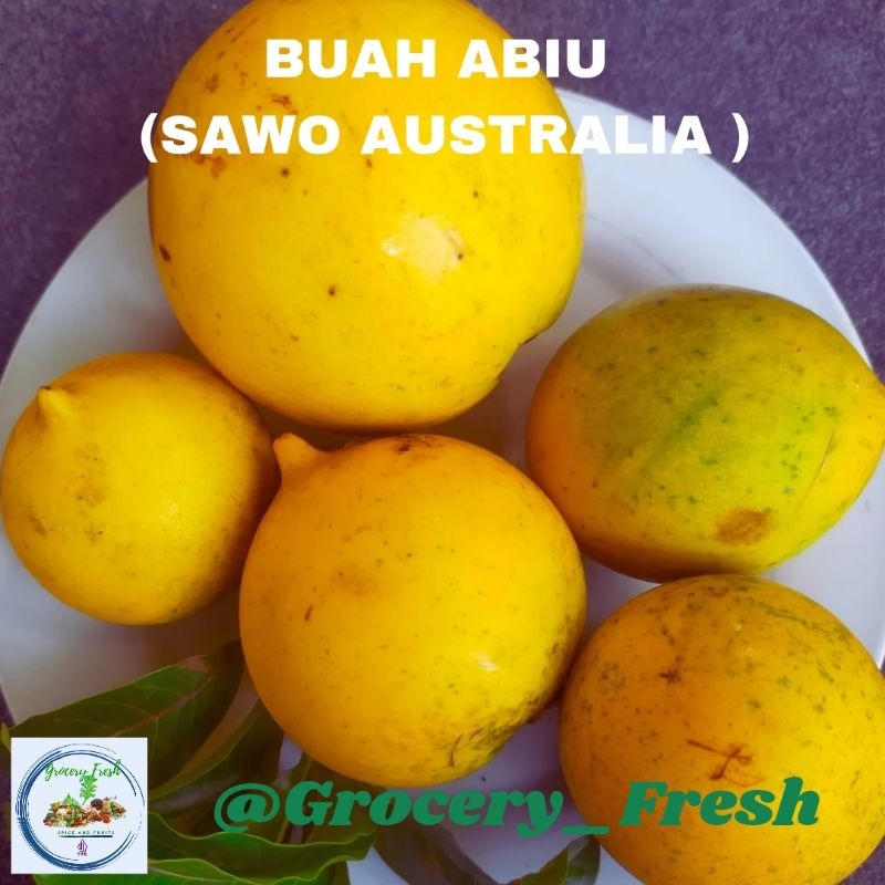 

Buah Abiu Langka (Sawo Australia) Manis Fresh Segar