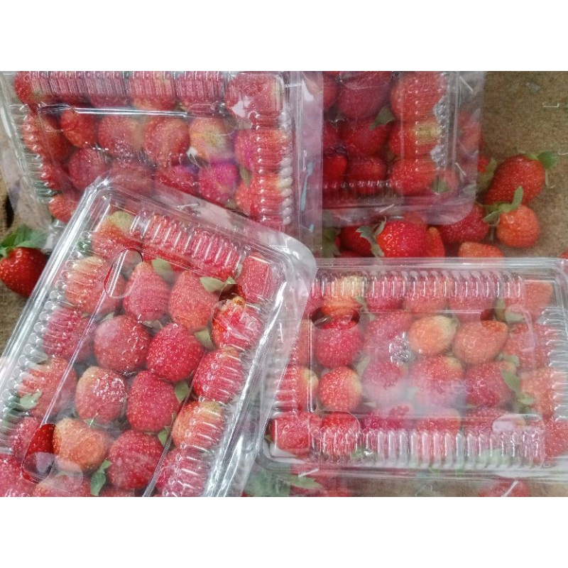

STRAWBERRY CB (1pack isi 24 Pcs)