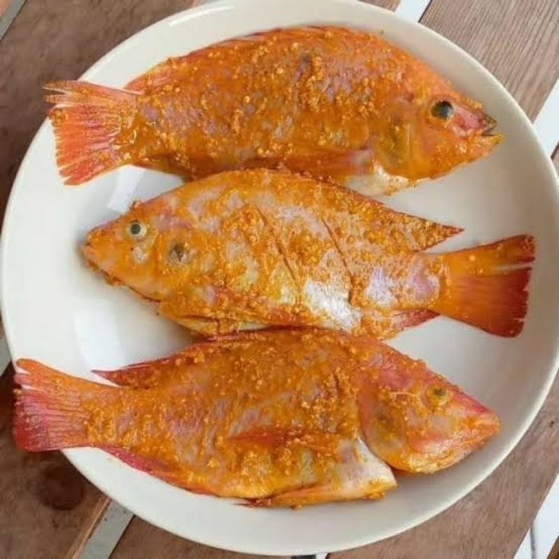 

ikan nila merah marinasi bumbu kuning / ikan nila hitam marinasi bumbu kuning siap goreng