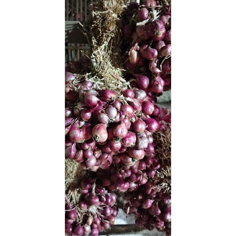 

jatim ready bawang merah 1 kg (TIDAK PO)