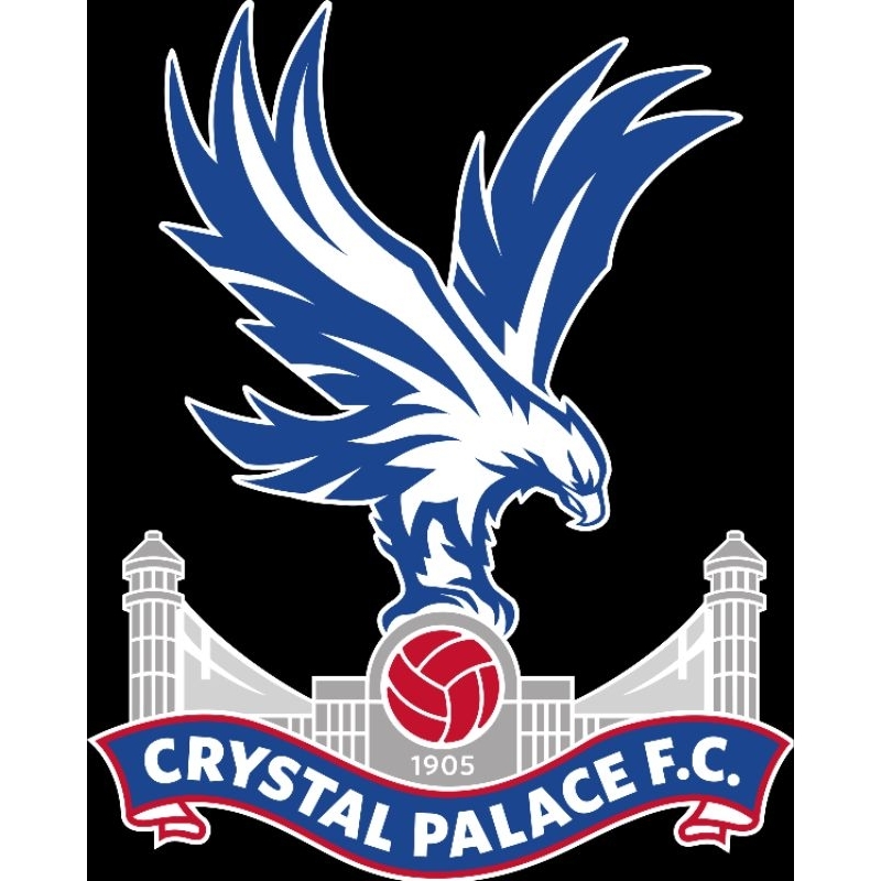 JERSEY CRYSTAL PALACE (BARU)