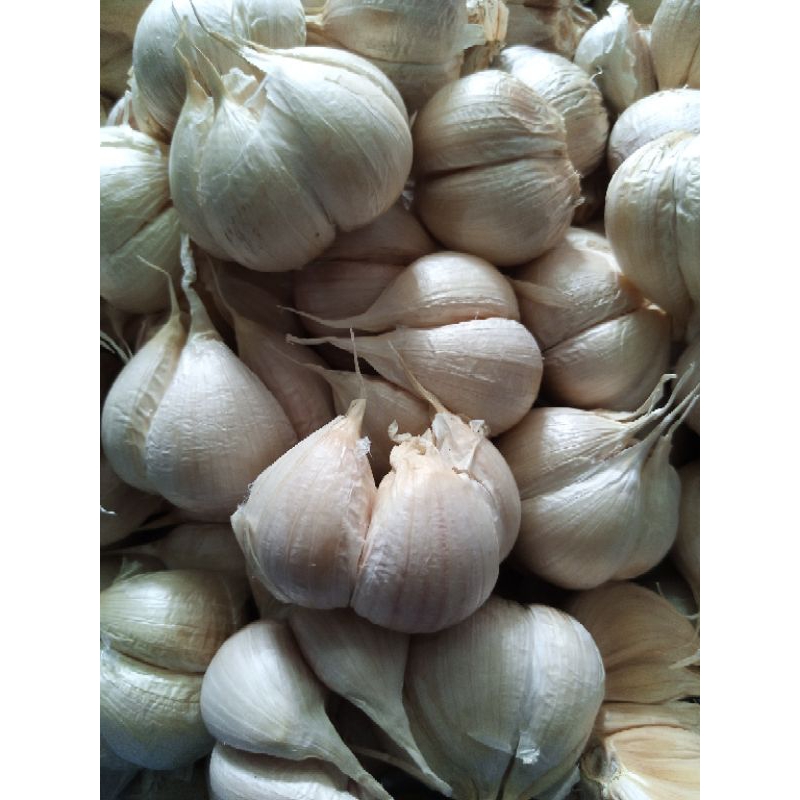 

bawang kating gemoy(500gr)