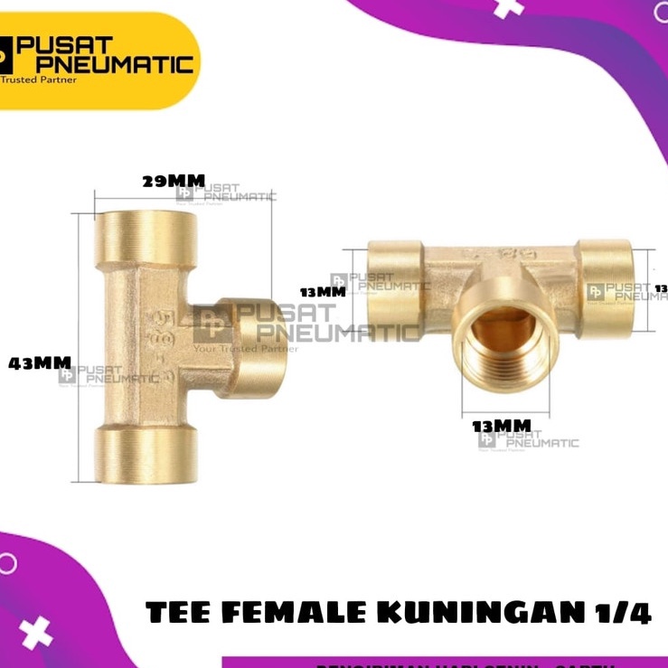 Nepel Tee  Tee kuningan Female drat 14  I