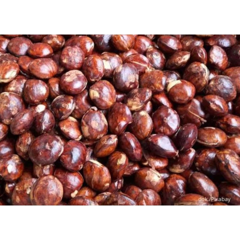 

jengkol super 250 gram