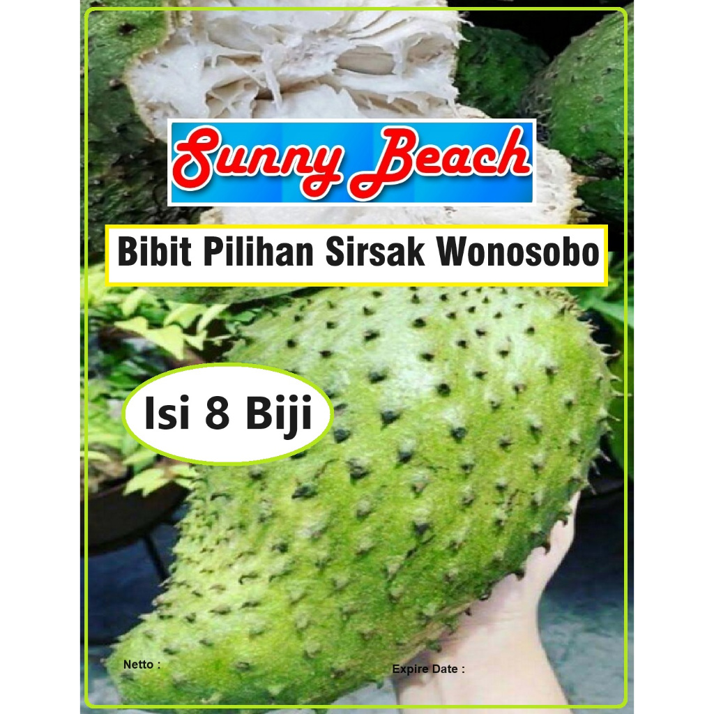Bibit Pilihan Sirsak Wonosobo | Biji Benih Sirsak Wonosobo