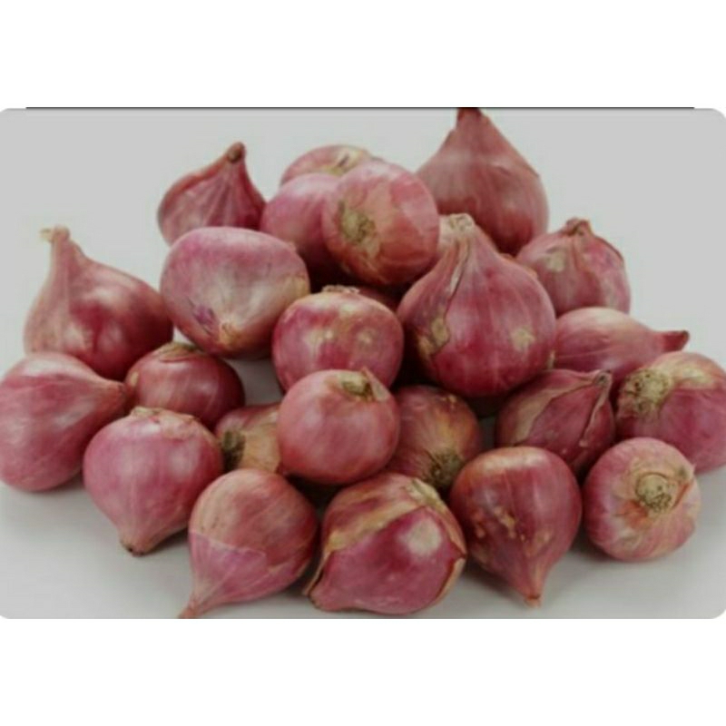 

bawang merah