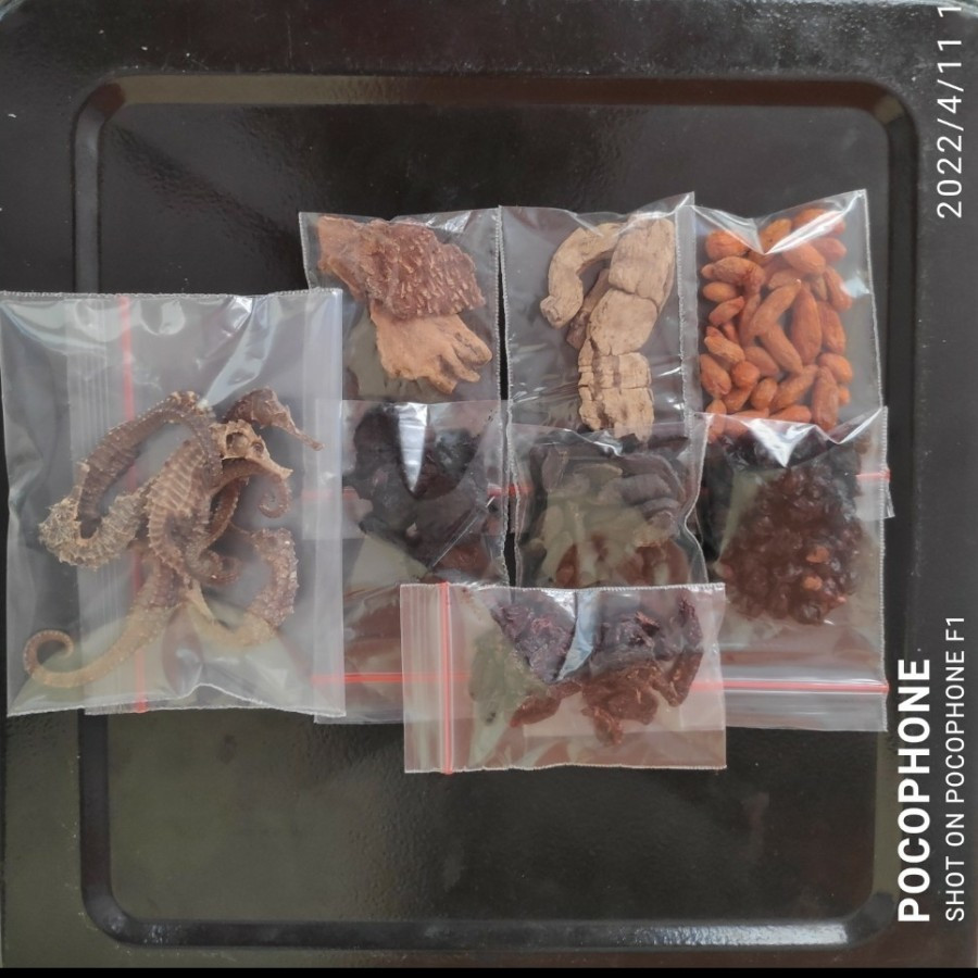 

Paket Ramuan Afrodisiak 7 Kuda Laut Size S Rendaman Untuk Pria