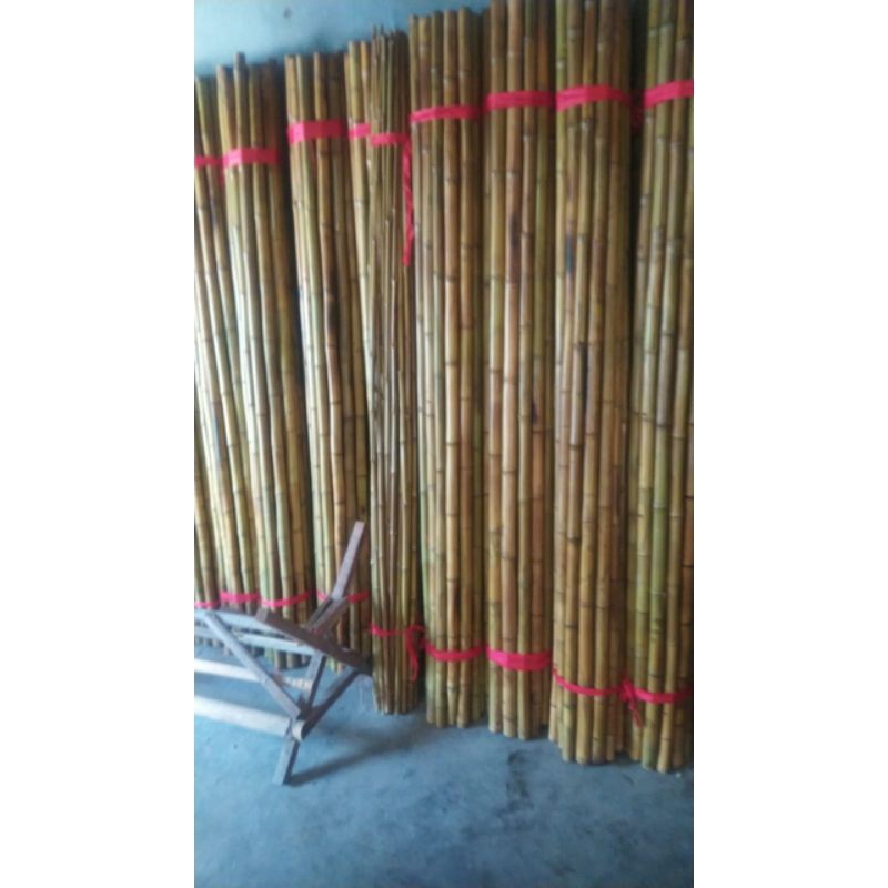 tongkat pramuka bambu cendani