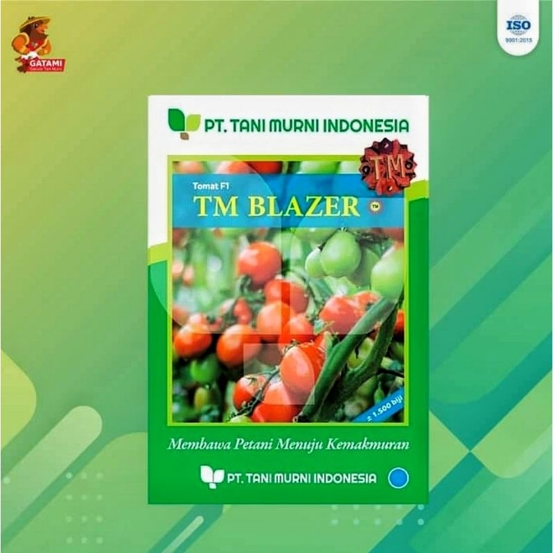 Benih Tomat Hibrida TM BLAZER F1 - Benih Tomat Hibrida Original Kemasan 1500 Biji