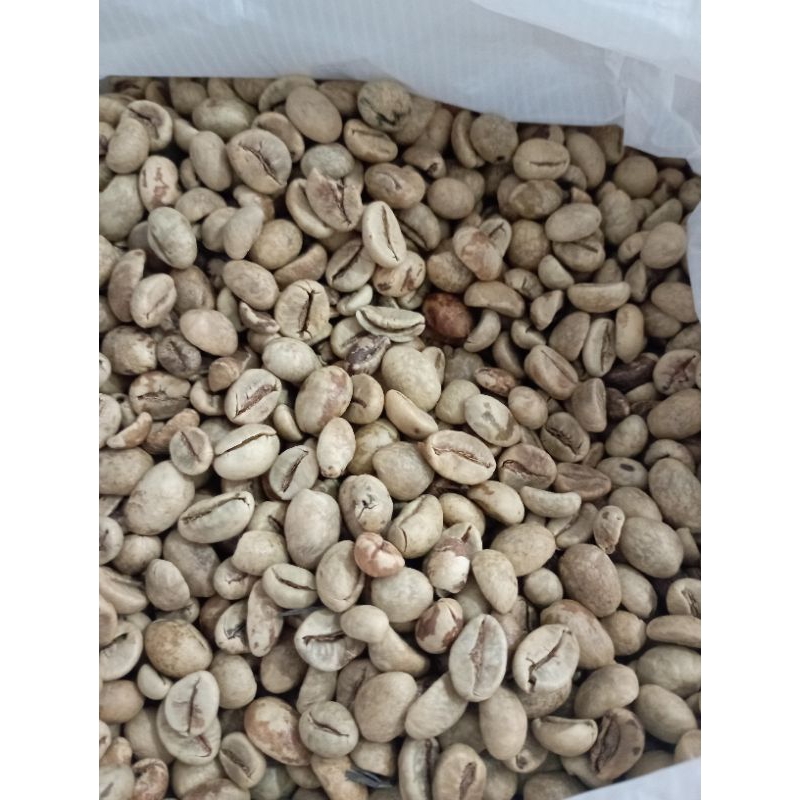 

Biji kopi mentah 1kg kualitas bagus