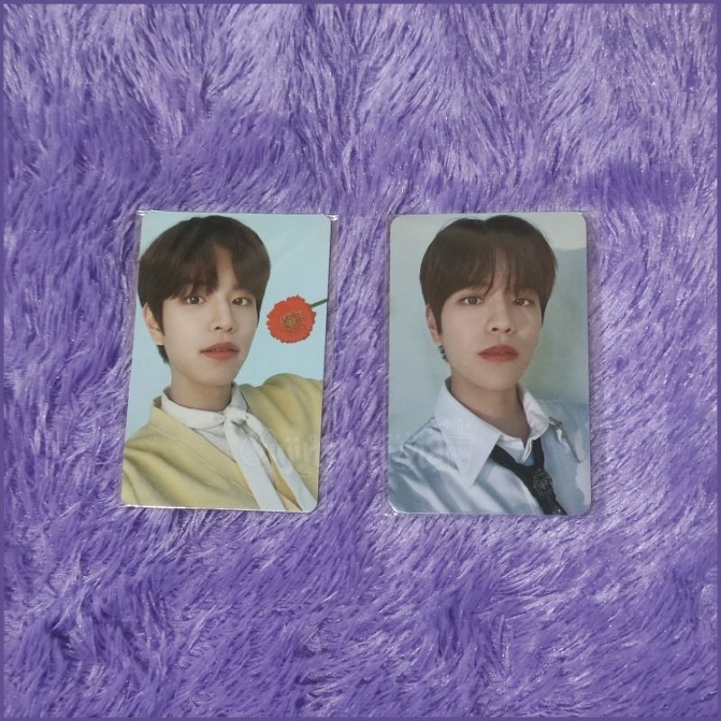 PHOTOCARD STRAY KIDS KIM SEUNGMIN NOEASY NACIFIC ROUND 10 12 (SKZ, Double Side DS, R10, R12)