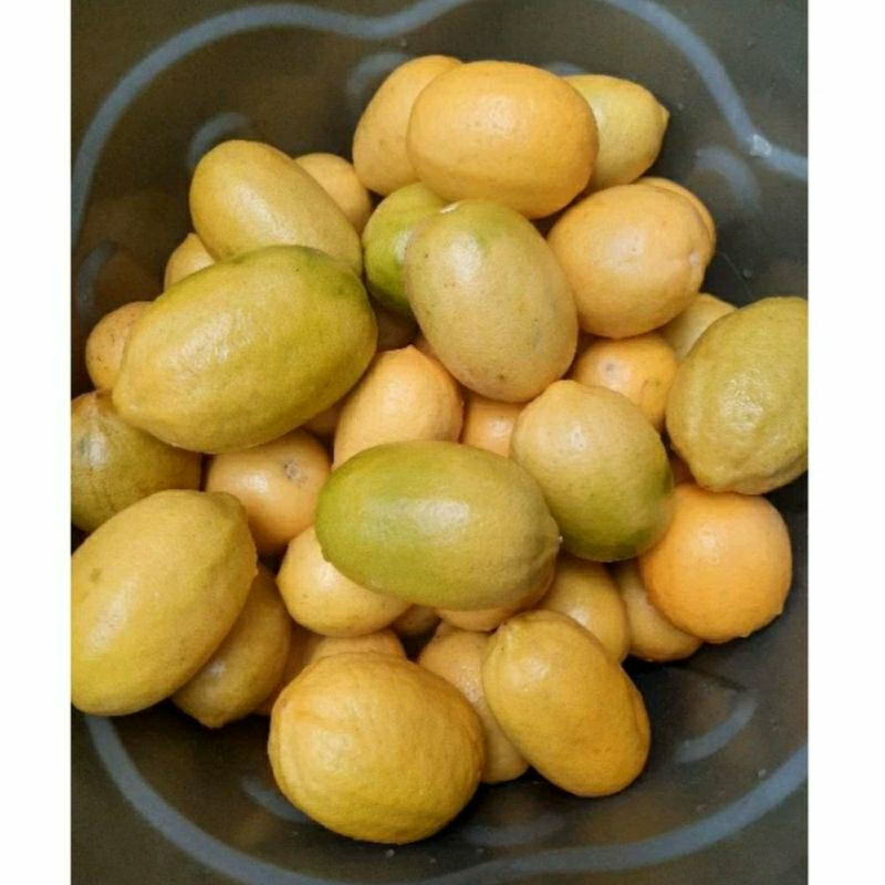 

Jeruk Lemon California Satu Buah Fresh