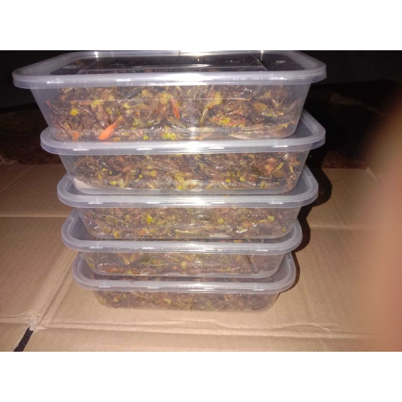 

Belalang goreng utes uenak 500 gram