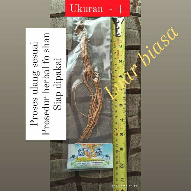

Ginseng Liar Utuh (15cm++) ±6gram