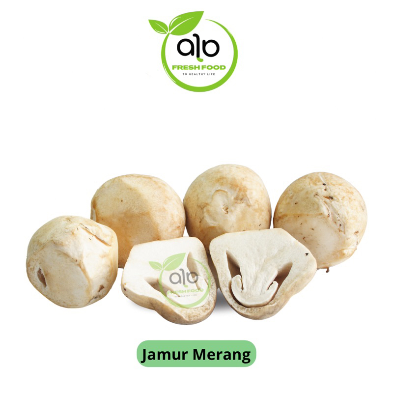 

JAMUR MERANG 250gr - ALO Fresh Food