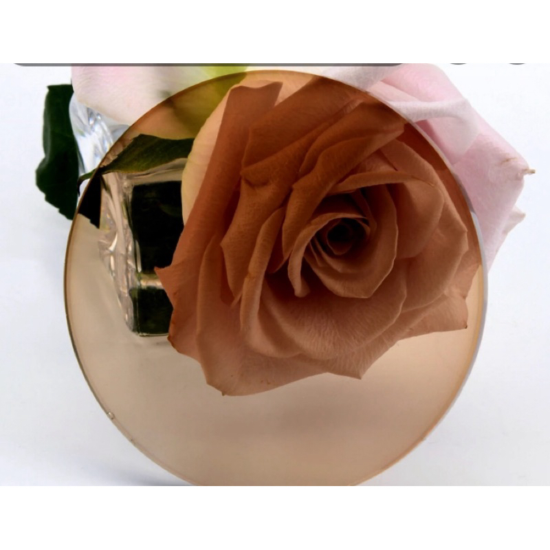 SV 1.56 photokromik brown