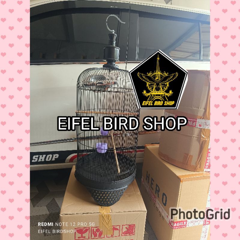 SANGKAR LOVEBIRD 1 DUS ISI 10 HITAM SANGKAR BESI LOVE BIRD UKURAN STANDART grosir sangkar lb