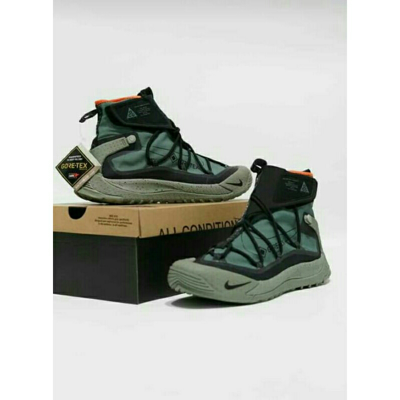 Sepatu Nike Air ACG Terra Antarktik Gore-tex