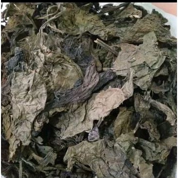 

Daun Unggu Kering Kualitas Bagus Daun Ungu atasi Wasir