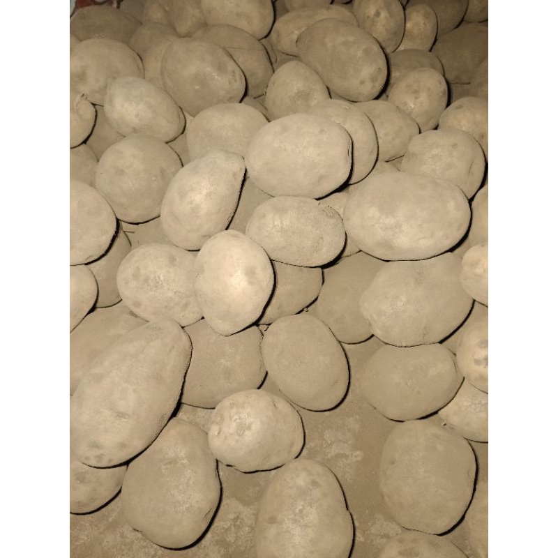 

Kentang (Ukuran Sedang) 500 gram/0,5 kg