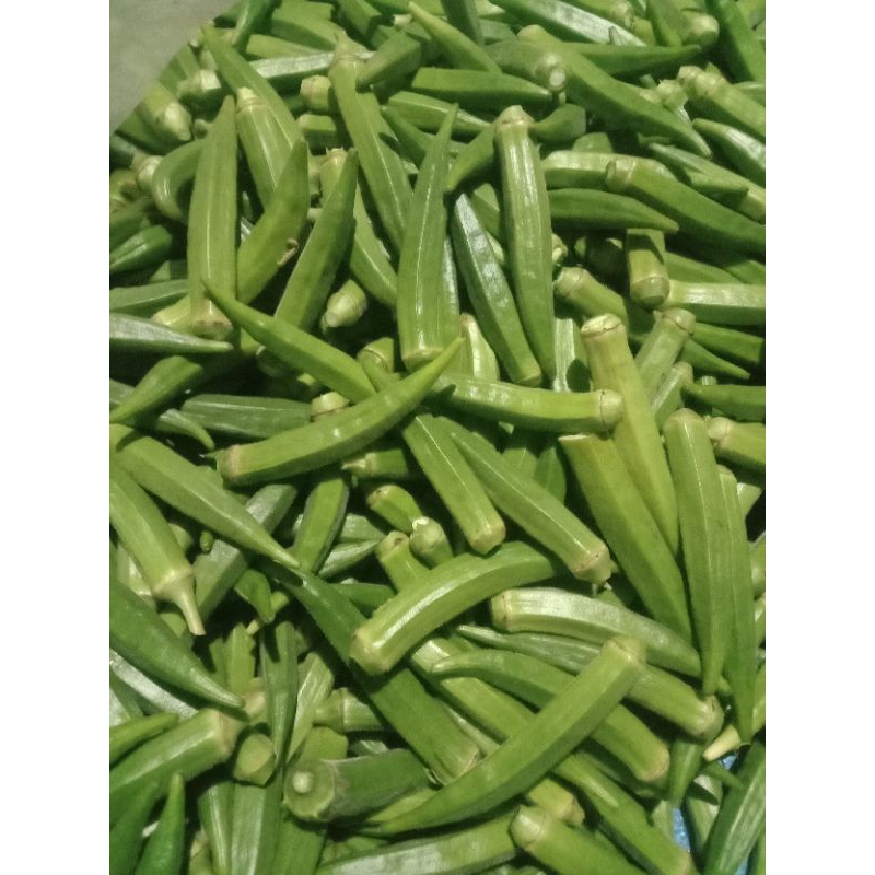 

Sayur okra segar