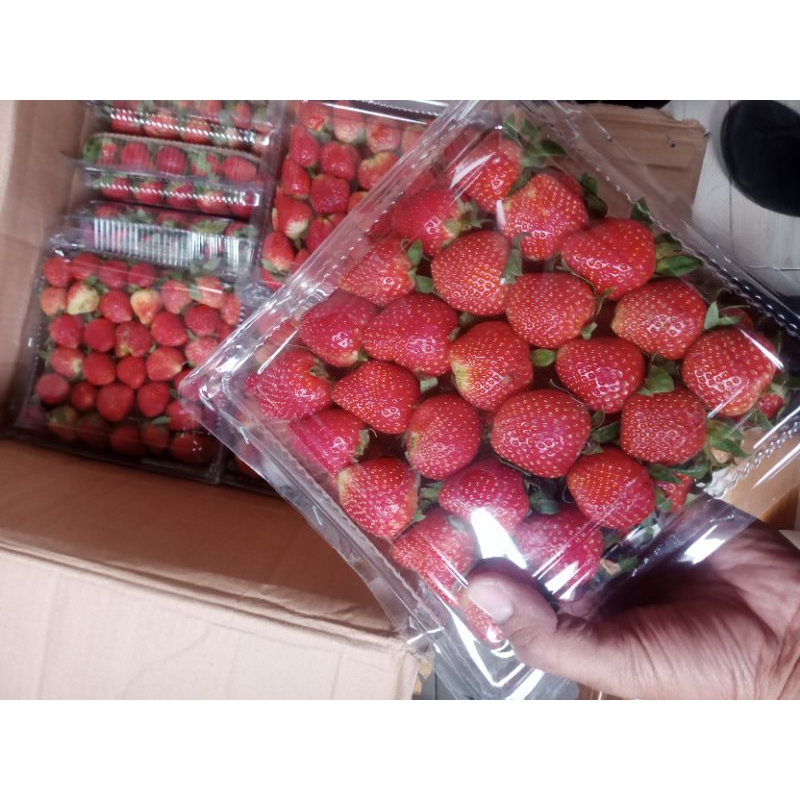 

1KG STROBERY FRESH GRADE JUMBO PREMIUM | STROBERY FRESH | STROBERY FROZEN | BUAH SEGAR