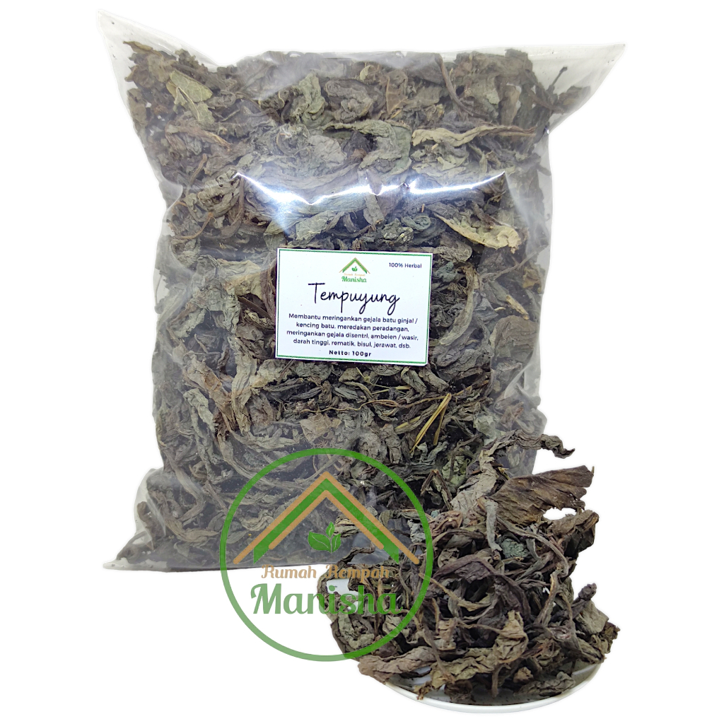 

Daun Tempuyung Kering 100gr