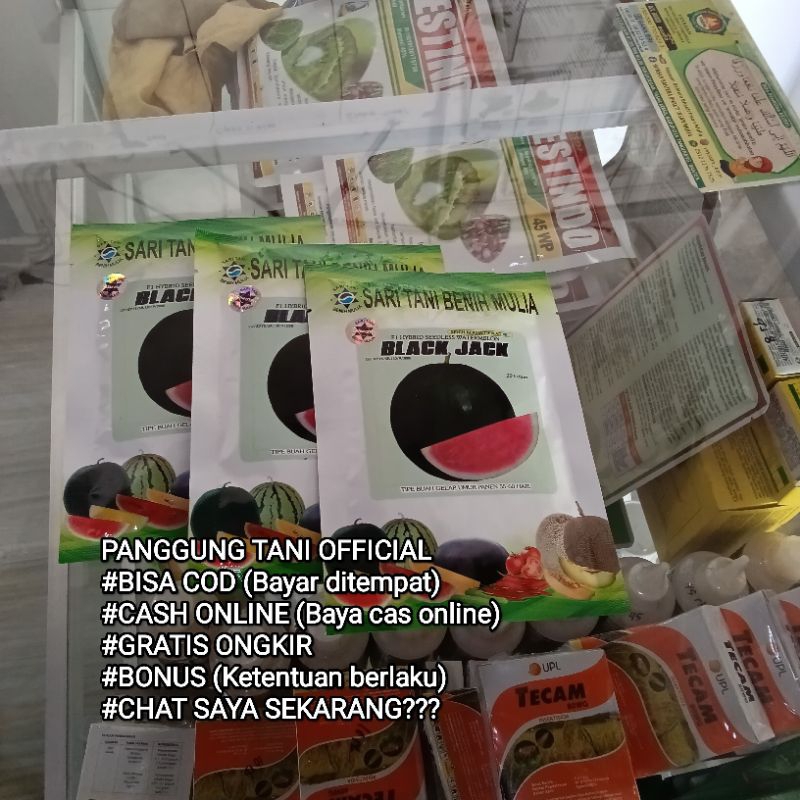 Benih Bibit Semangka Non Biji Jumbo Black Jack F1 (Perawatan dan Pembuahan Mudah) isi Benih 20 gram 