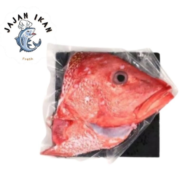 

[JAJAN IKAN] Kepala Kakap Merah Fresh 1kg