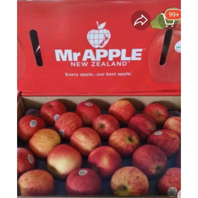 

Apel Royal Gala MR Appel NZ 1Dus fresh import