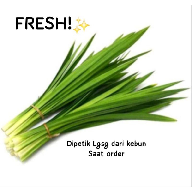 

DAUN PANDAN FRESH !!! PETIK SAAT DIORDER (1 IKAT)