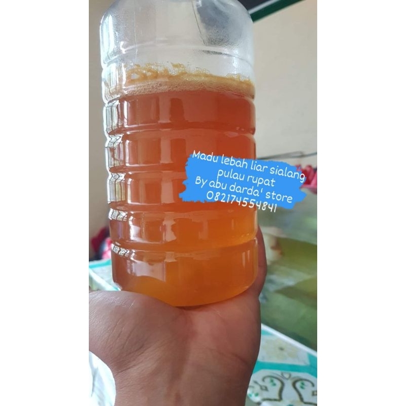 

Madu hutan lebah liar sialang