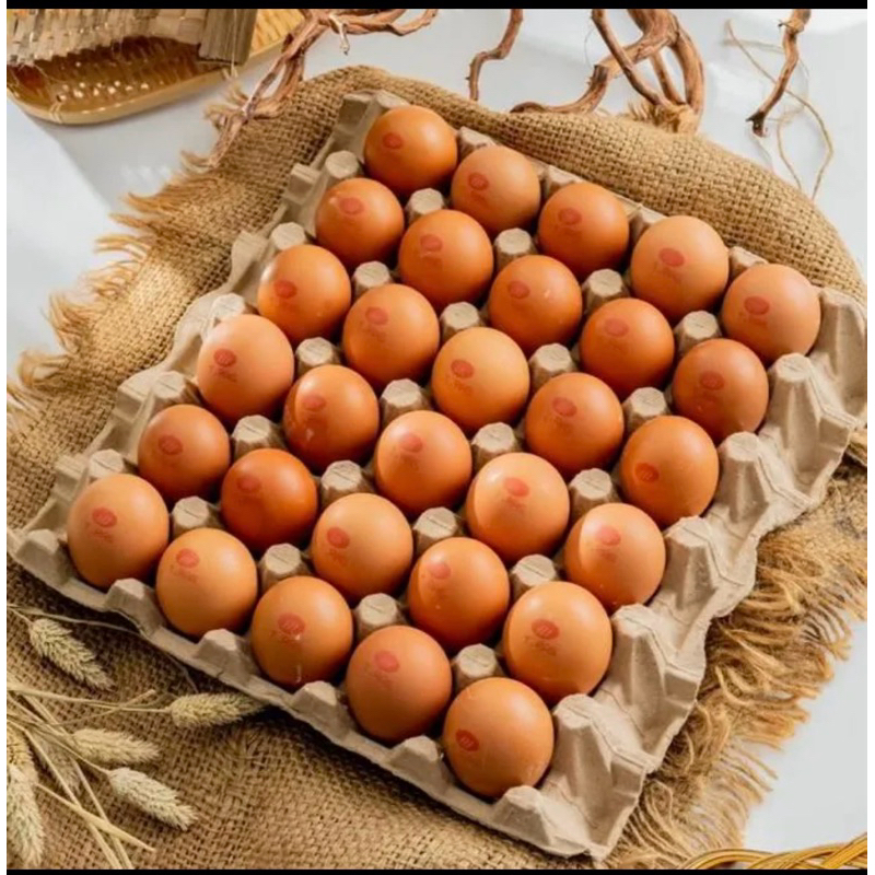 

Telur LCH Fresh