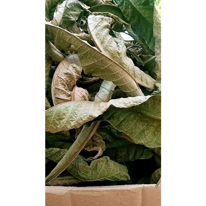 

Daun Sungkai Kering 250 gr