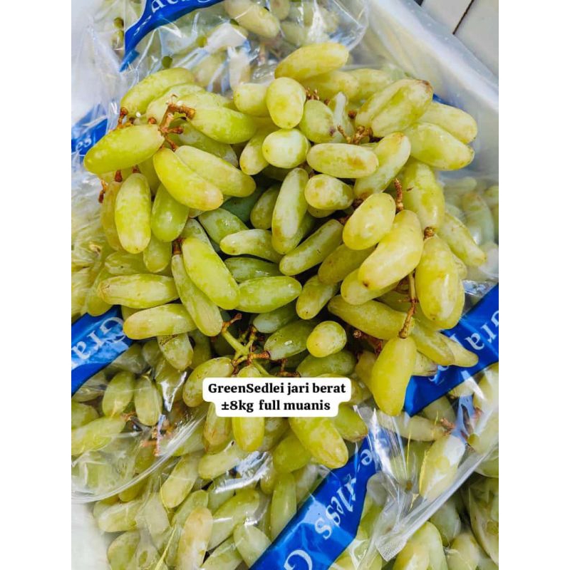 

ANGGUR JARI HIJAU/ KANTONG 1KG