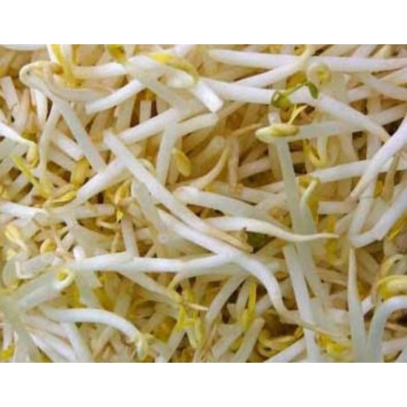 

kecambah Wonogiri 100gr
