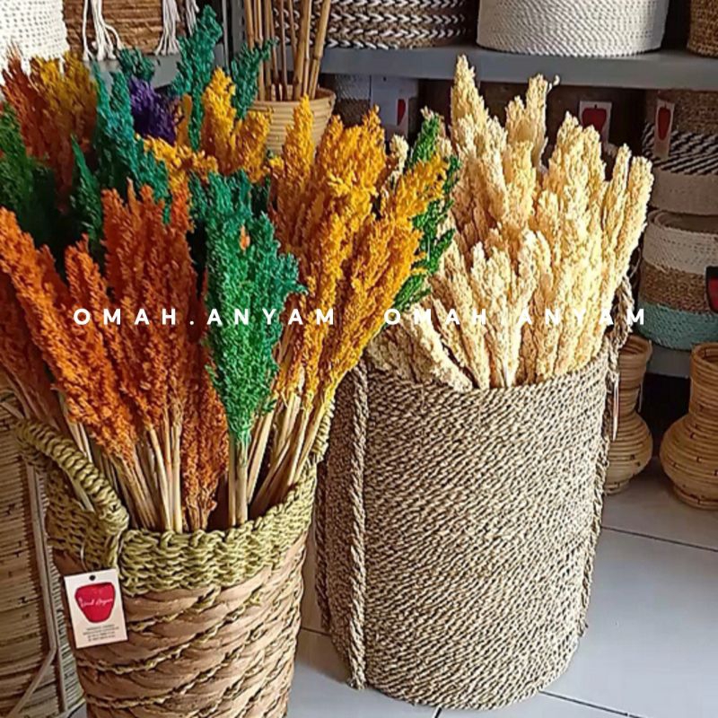Bunga Sorgum Kering/ Bunga Hias Meja/ Bunga Kering Hiasan Meja