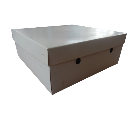 

Dus Kotak Nasi / box nasi / bahan duplex