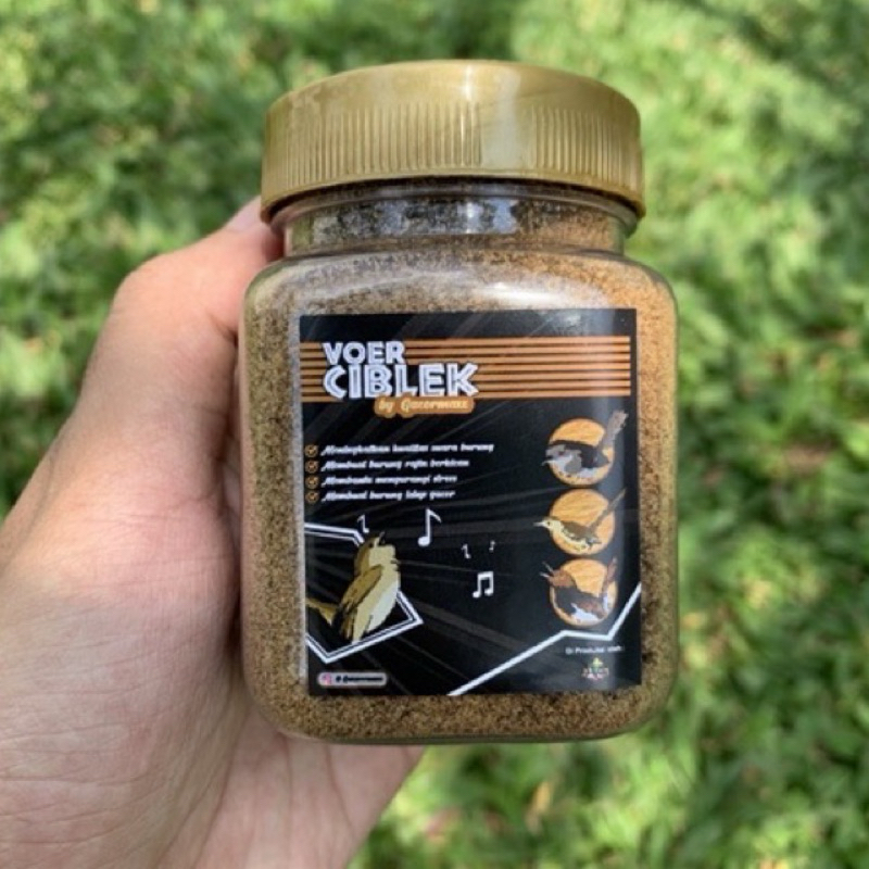 Voer pakan burung ciblek gacormax